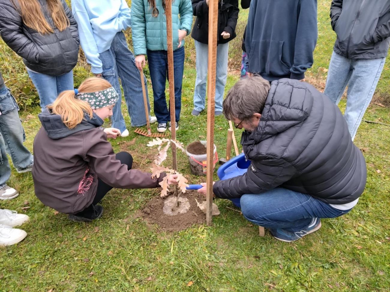 Sázení dubu z Osvětimi