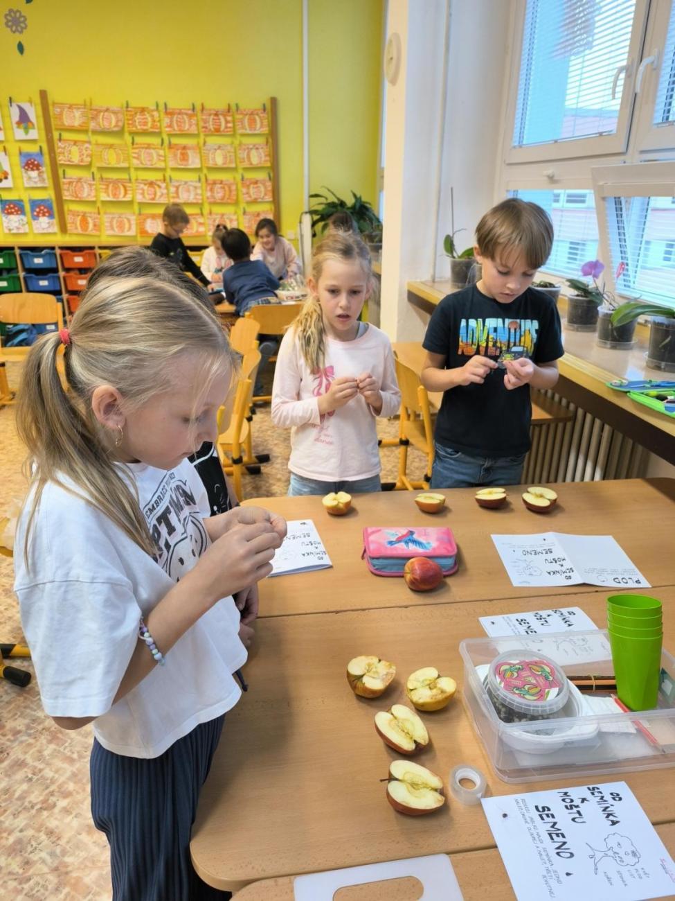 Od semínka k moštu  2. ročník