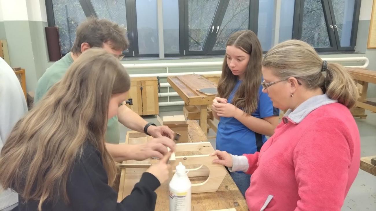 Projekt "Budka" - spolupráce 7.C s klienty DTS Jihlava