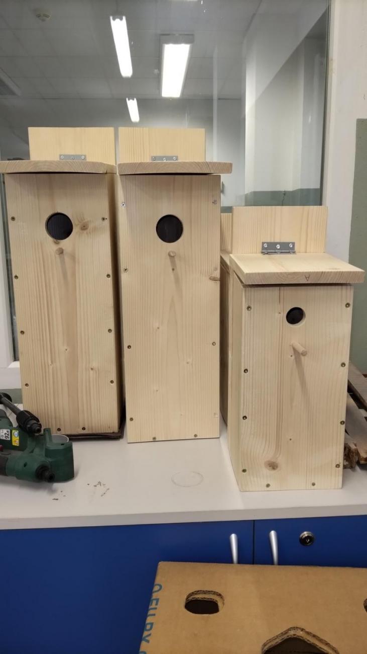 Projekt "Budka" - spolupráce 7.C s klienty DTS Jihlava