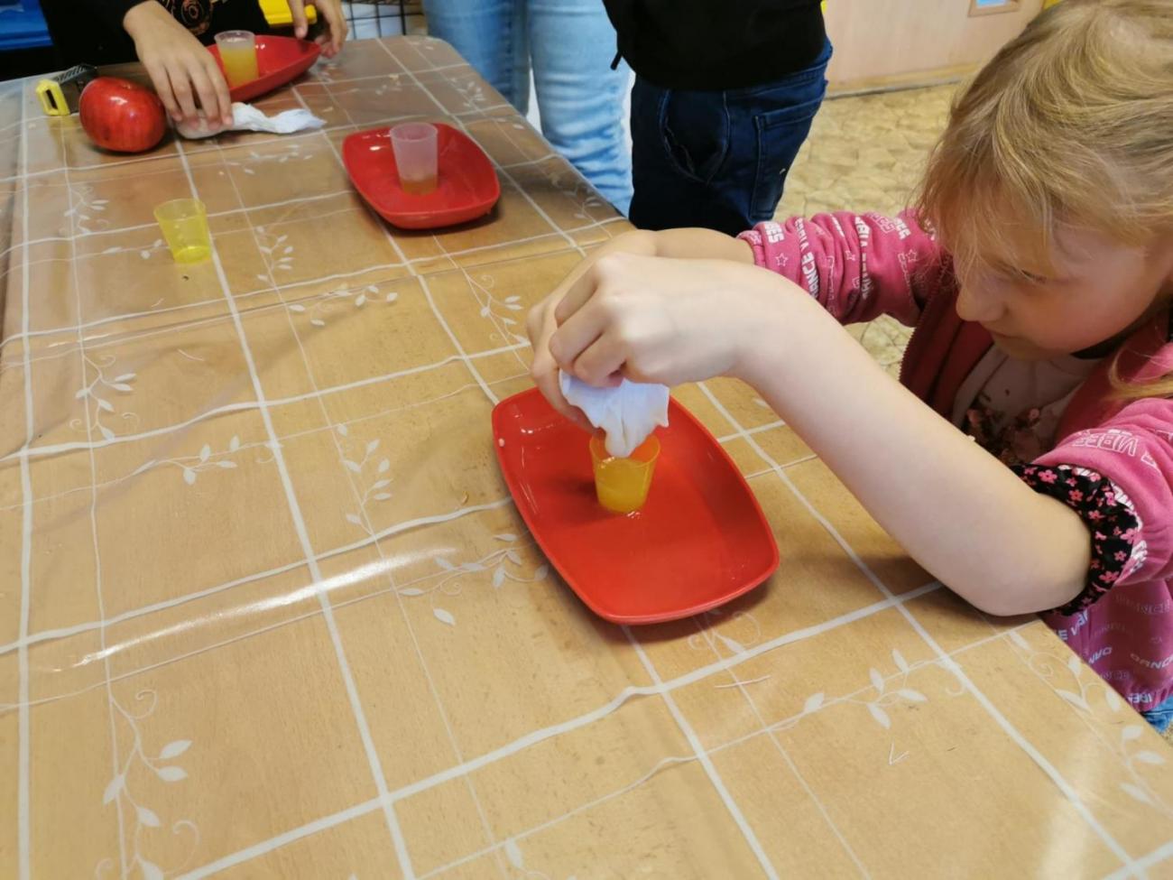 Od semínka k moštu  2. ročník