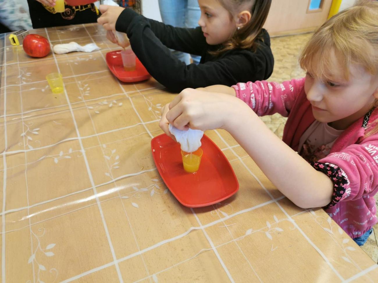 Od semínka k moštu  2. ročník