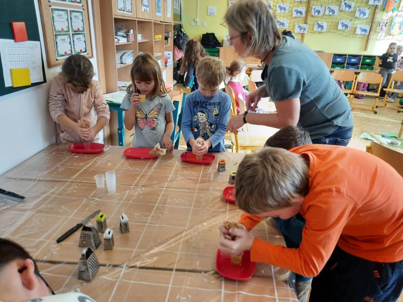 Od semínka k moštu  1.C