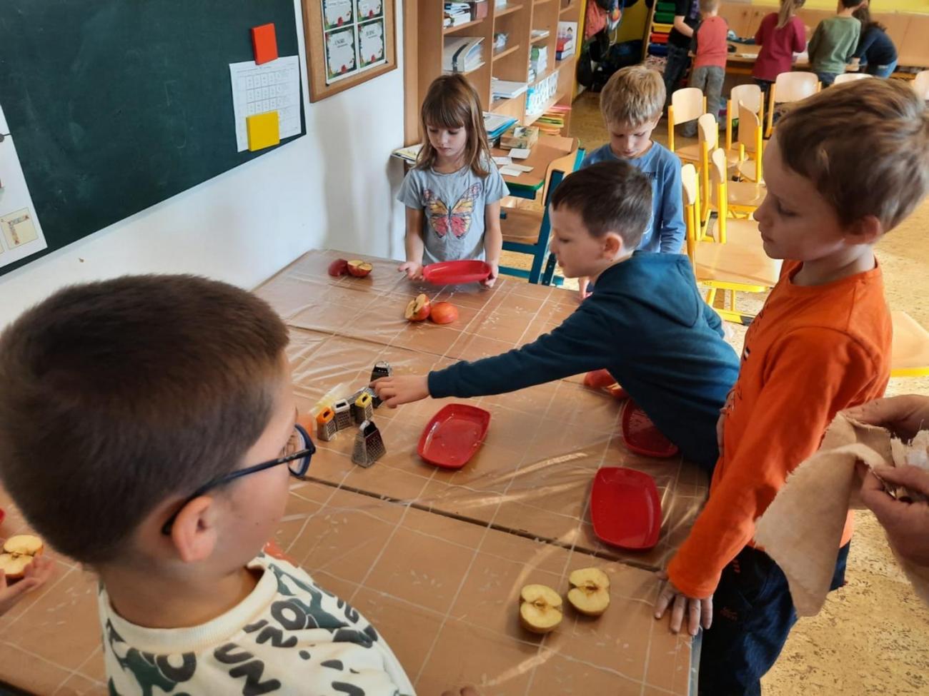 Od semínka k moštu  1.C