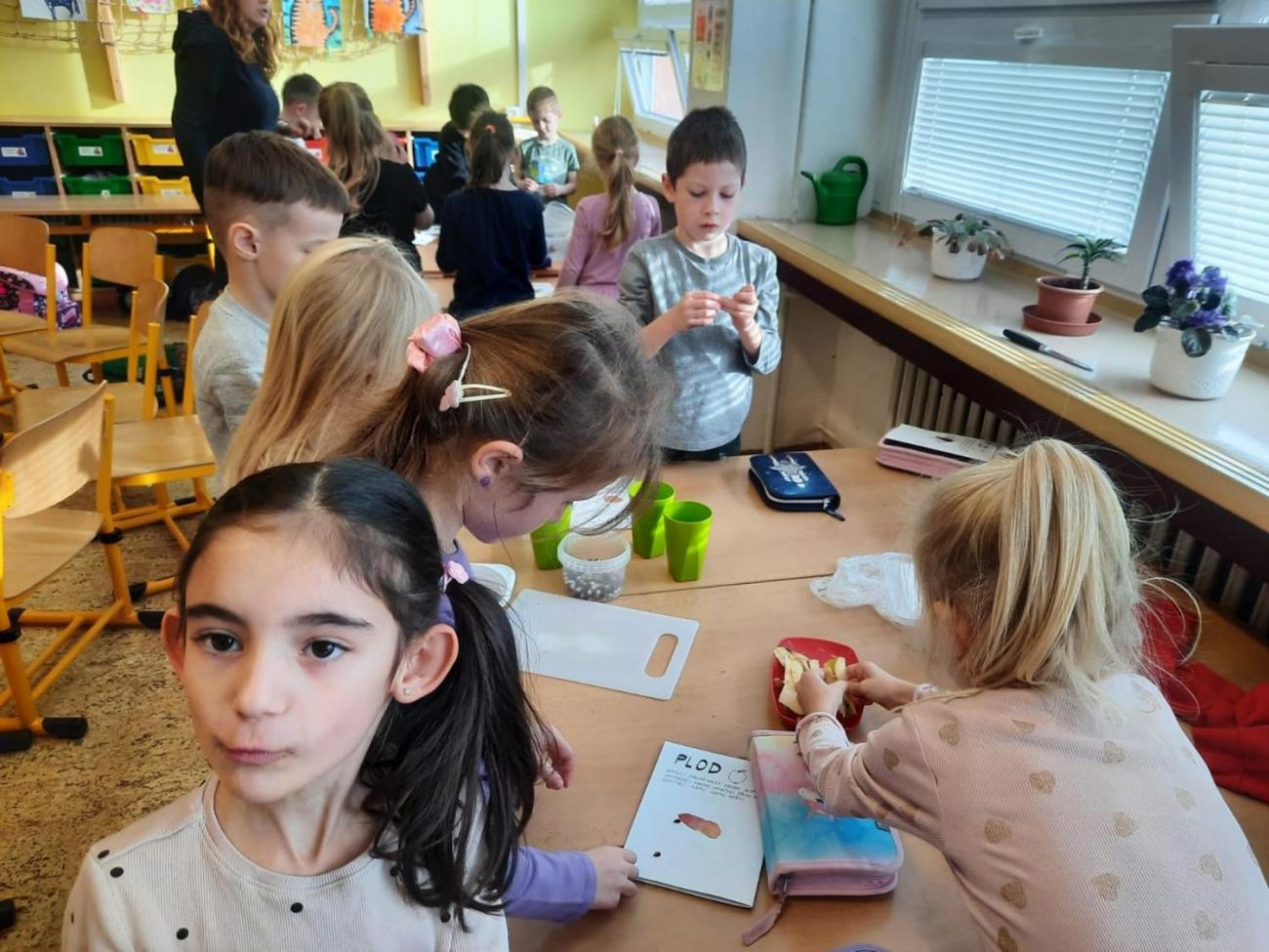 Od semínka k moštu  1.C