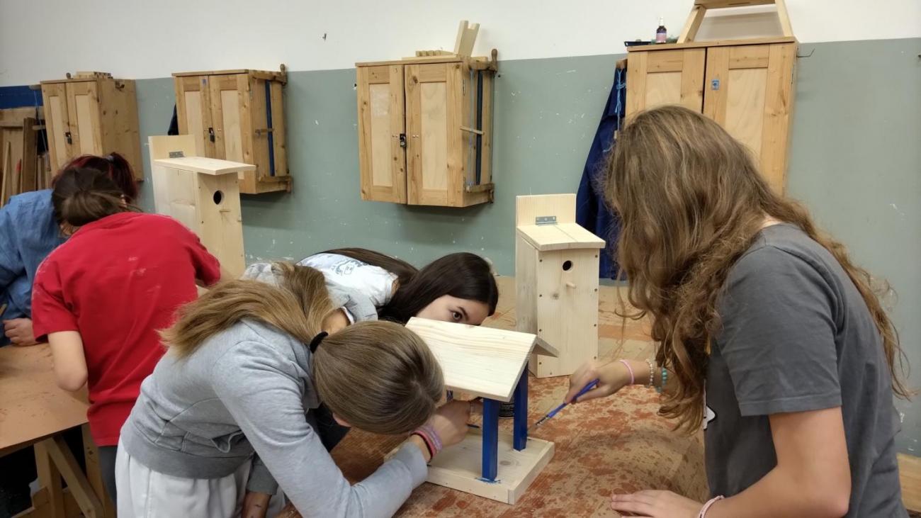 Projekt "Budka"; Spolupráce 7.C s klienty DTS Jihlava