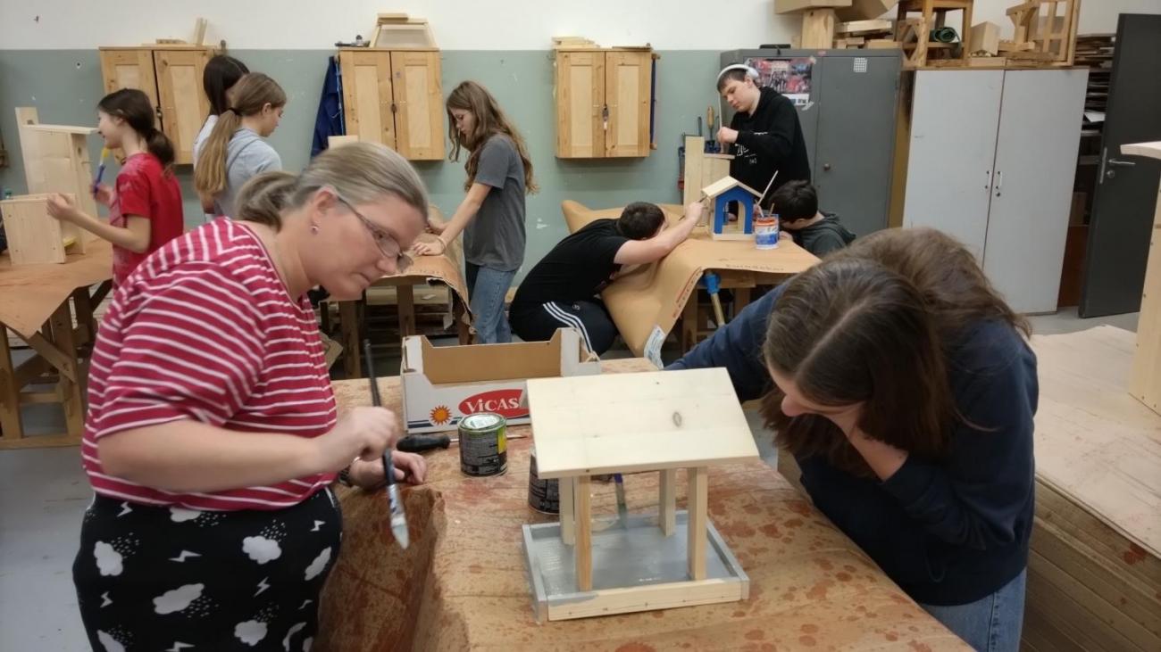 Projekt "Budka"; Spolupráce 7.C s klienty DTS Jihlava