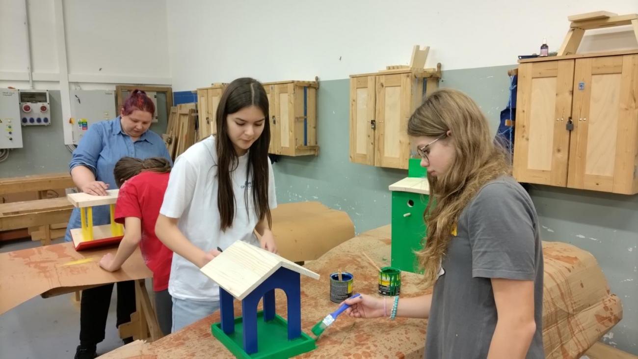 Projekt "Budka"; Spolupráce 7.C s klienty DTS Jihlava