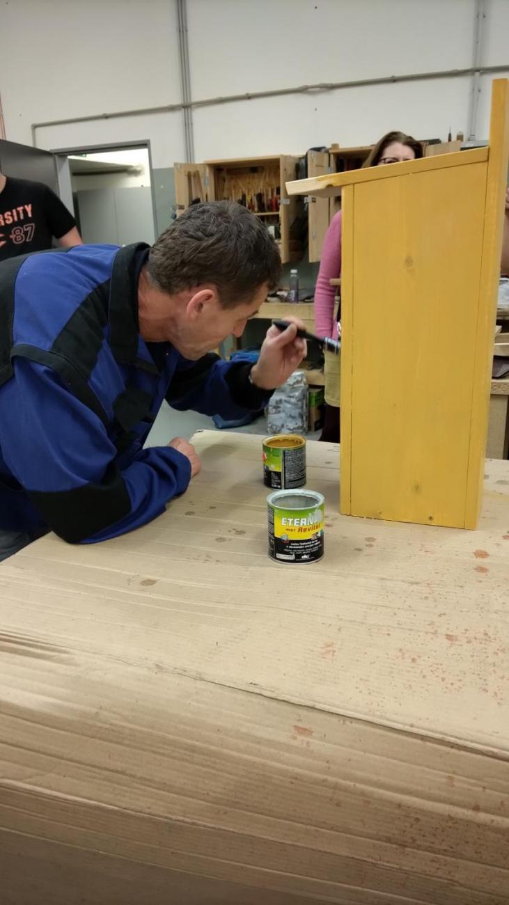 Projekt "Budka"; Spolupráce 7.C s klienty DTS Jihlava