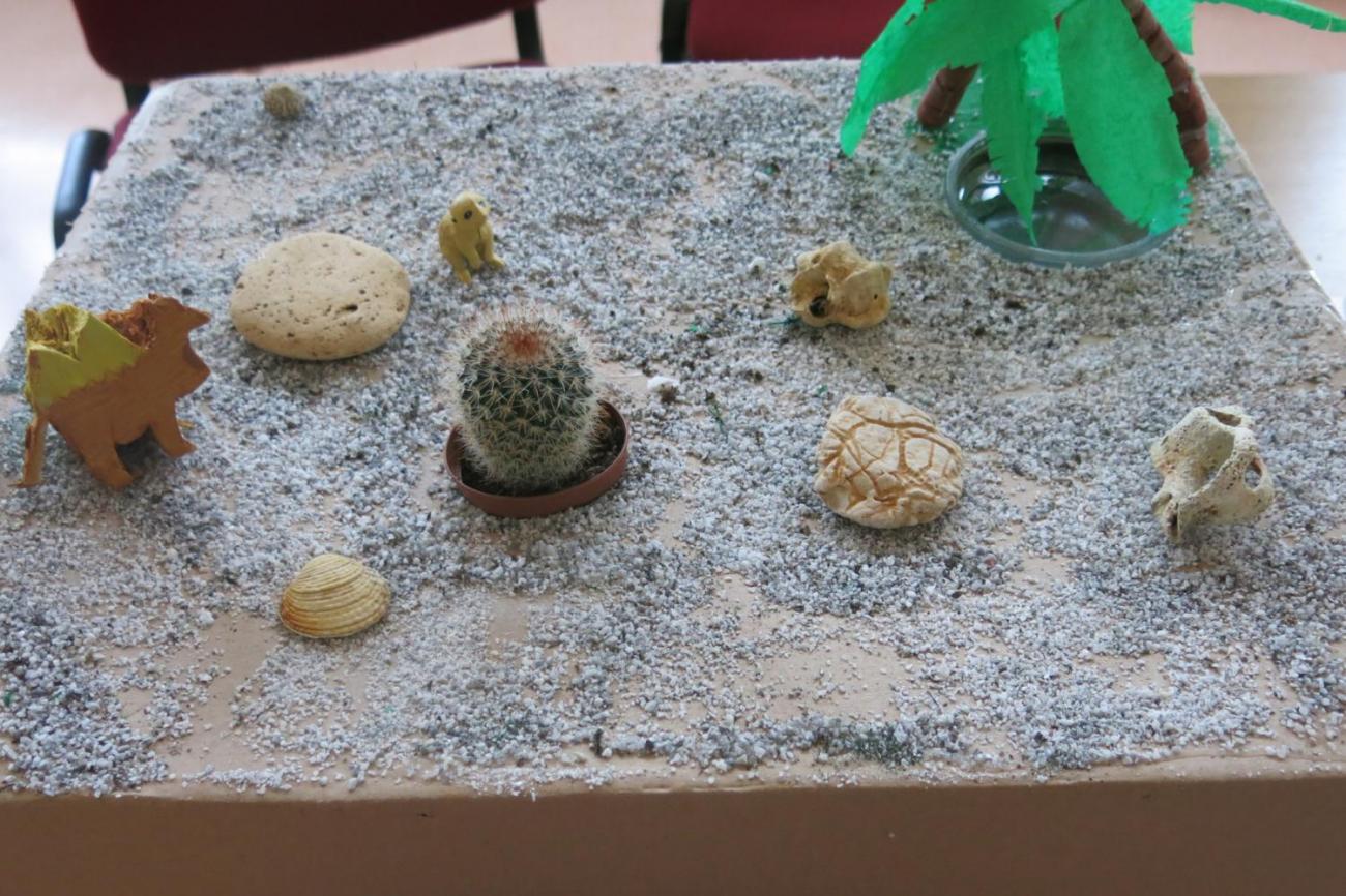 Podnebné pásy  5.A a 5.B