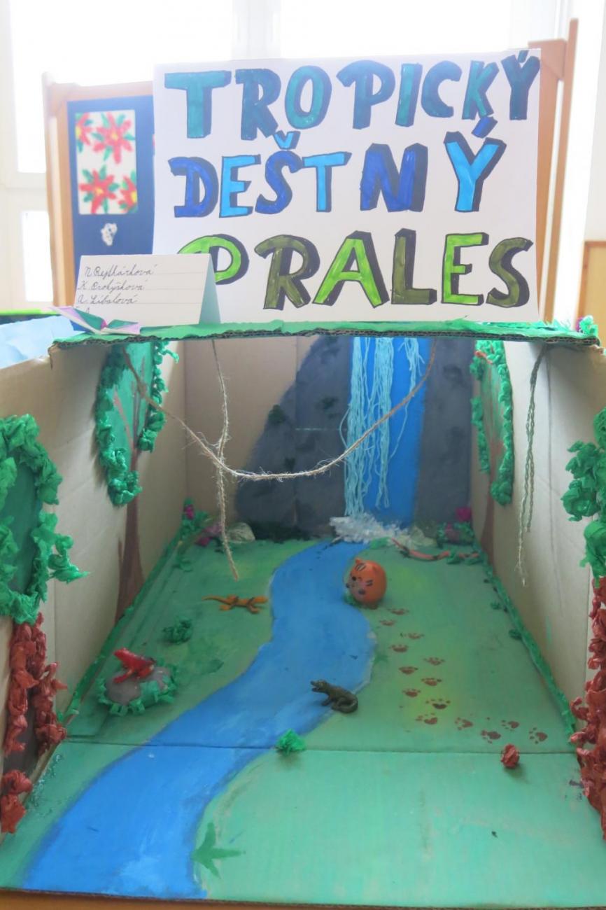 Podnebné pásy  5.A a 5.B