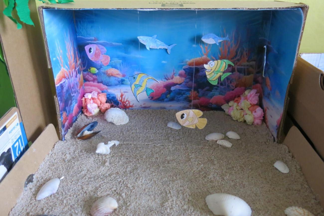 Podnebné pásy  5.A a 5.B