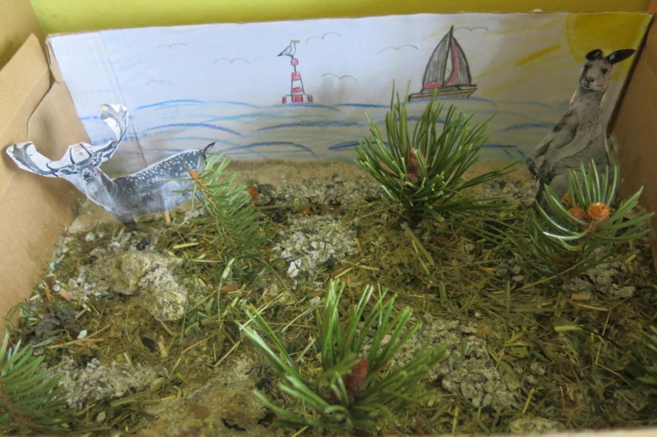 Podnebné pásy  5.A a 5.B