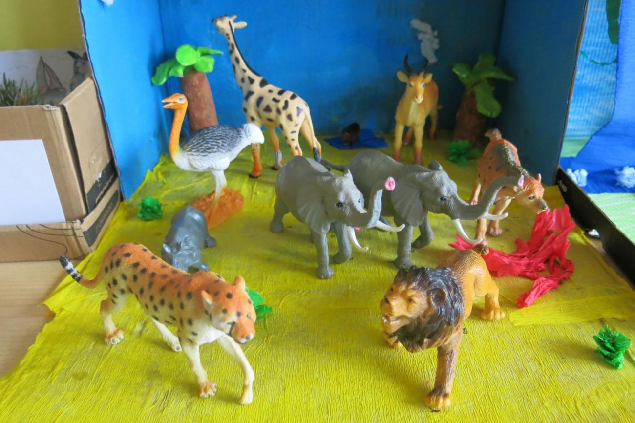 Podnebné pásy  5.A a 5.B