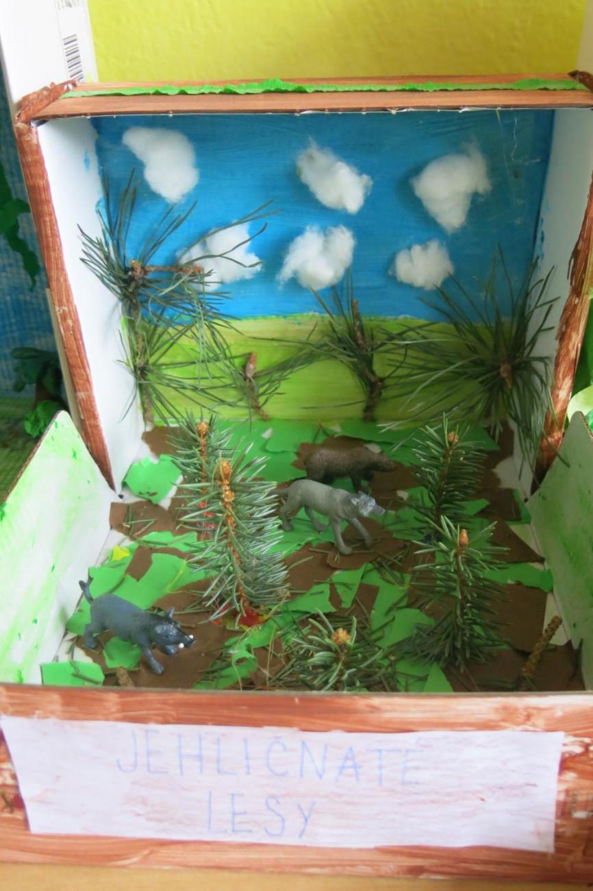 Podnebné pásy  5.A a 5.B