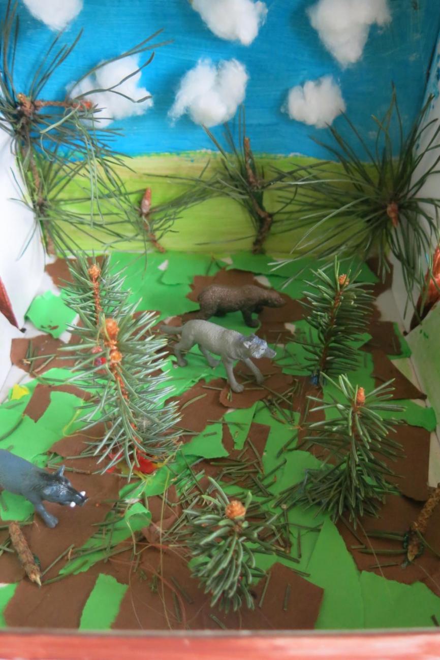 Podnebné pásy  5.A a 5.B