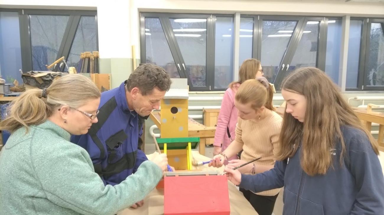 Spolupráce 7.C a DTS Jihlava, Projekt "Budka"