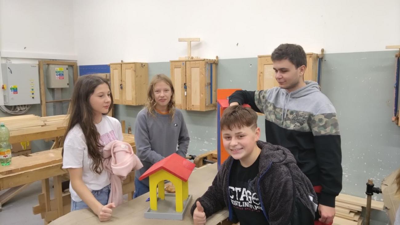 Spolupráce 7.C a DTS Jihlava, Projekt "Budka"