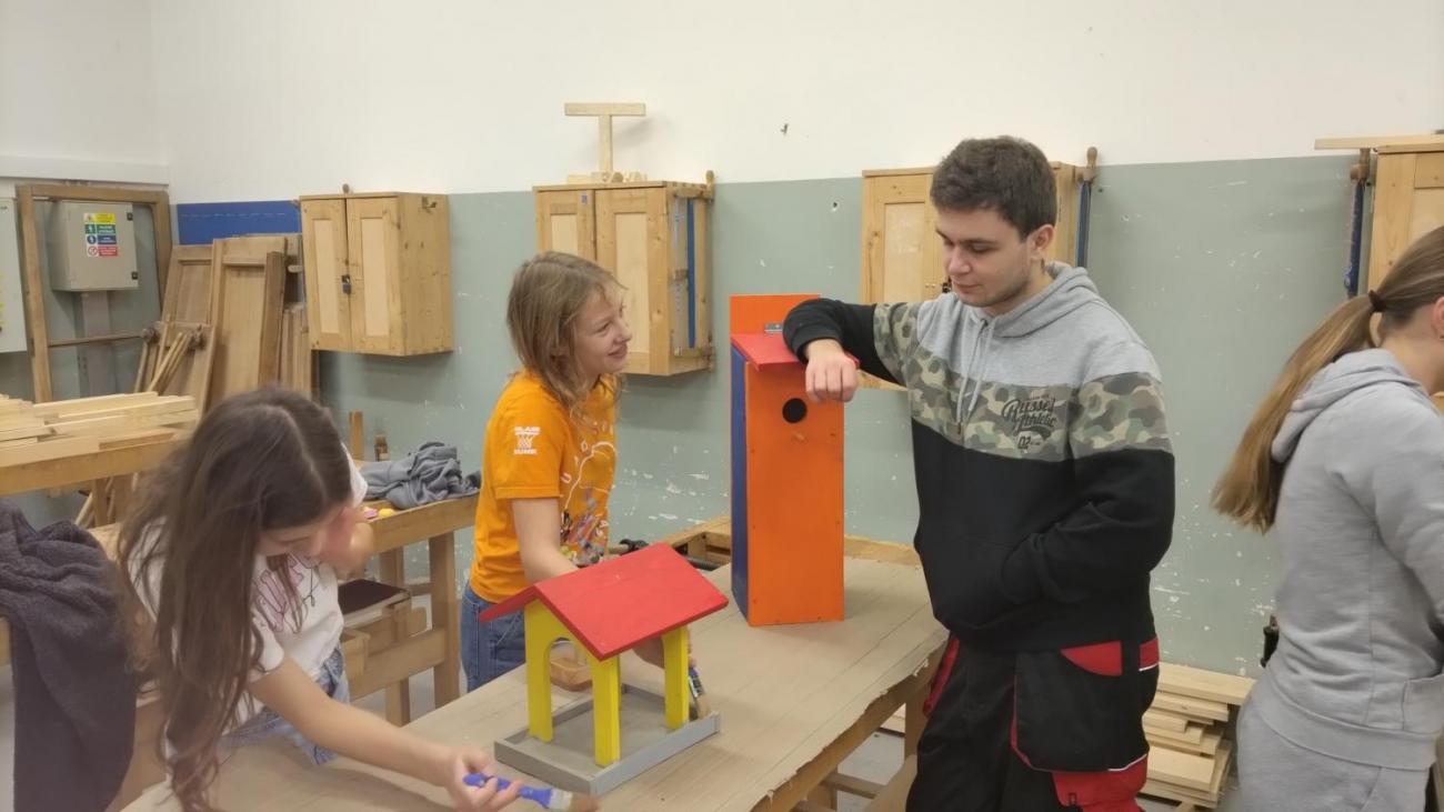 Spolupráce 7.C a DTS Jihlava, Projekt "Budka"