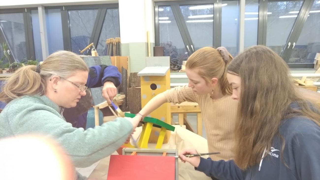 Spolupráce 7.C a DTS Jihlava, Projekt "Budka"