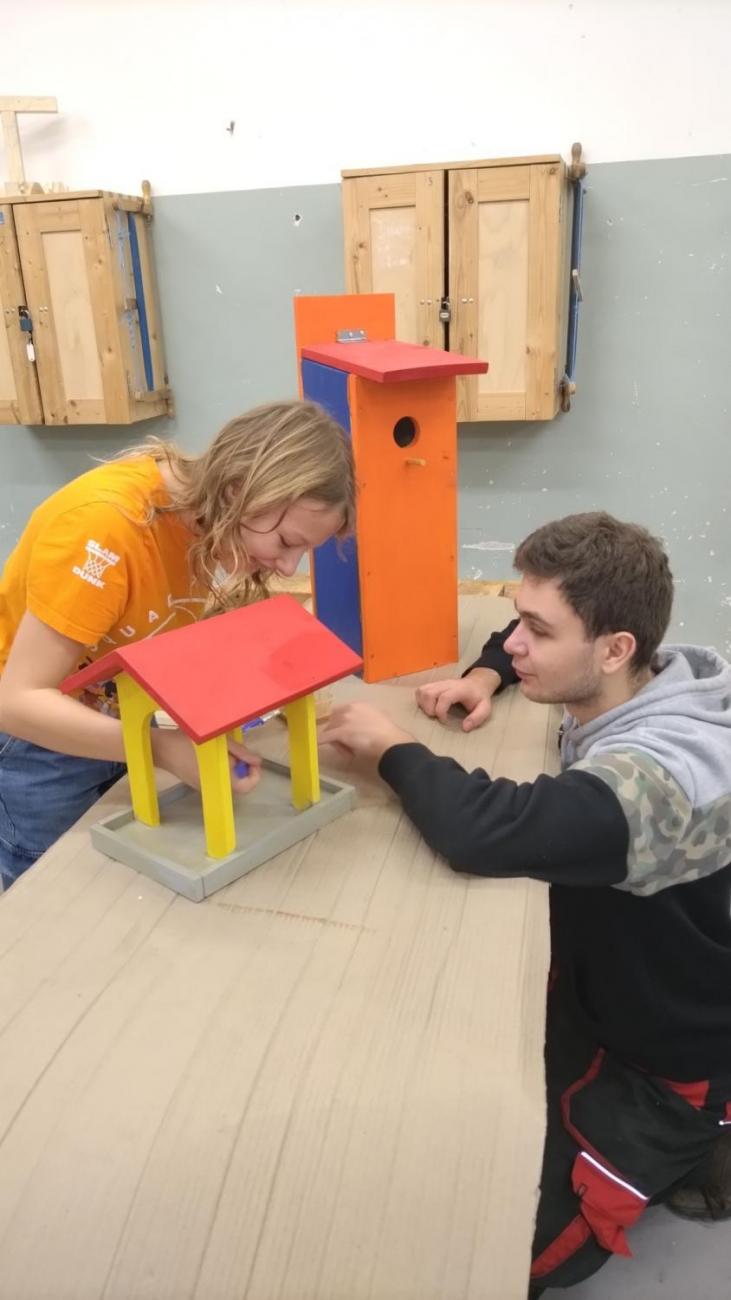 Spolupráce 7.C a DTS Jihlava, Projekt "Budka"