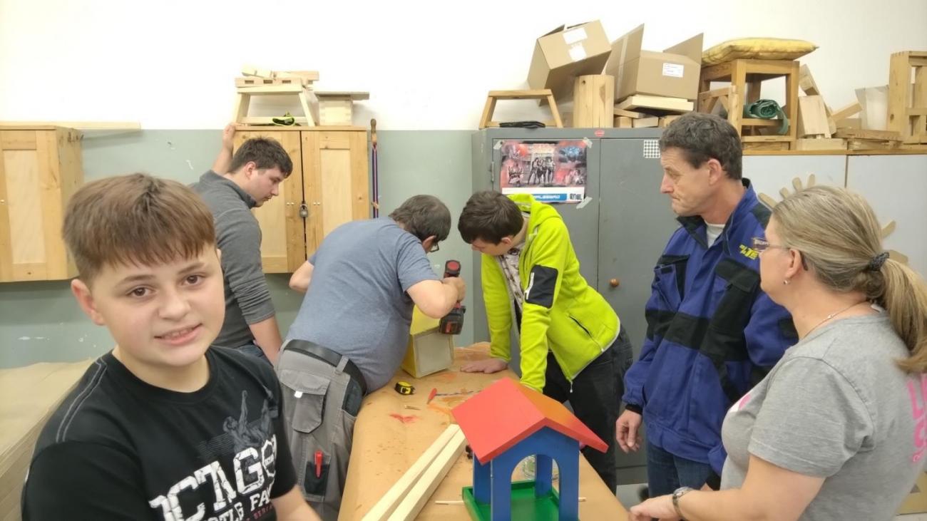 Spolupráce 7.C a DTS Jihlava, Projekt "Budka"