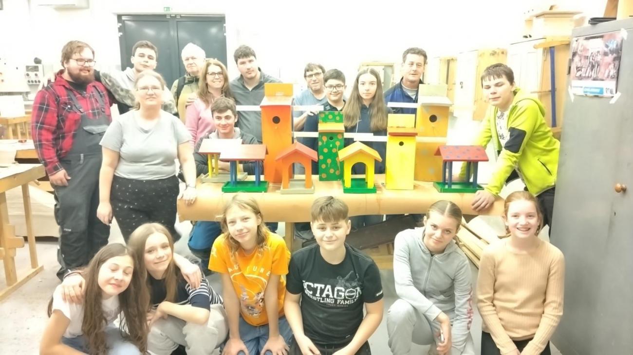 Spolupráce 7.C a DTS Jihlava, Projekt "Budka"