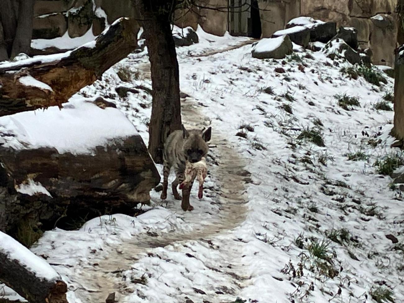 ZOO - Program "Les žije"  4.B