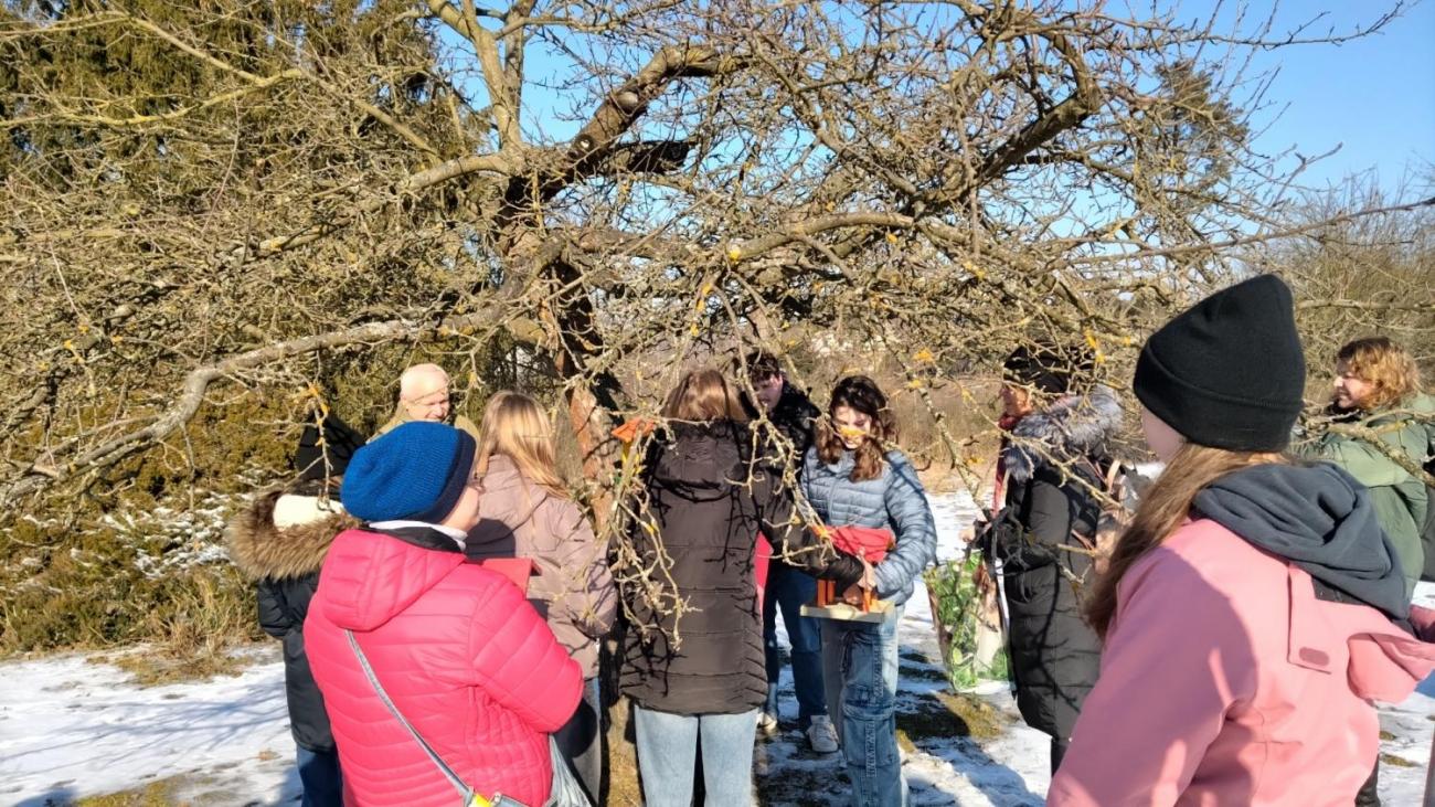 Projekt "Budka" - spolupráce 7.C s klienty DTS Jihlava