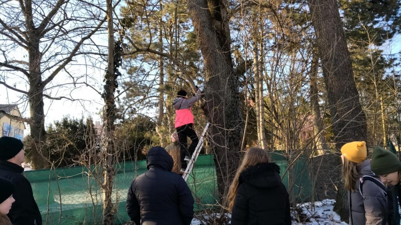 Projekt "Budka" - spolupráce 7.C s klienty DTS Jihlava