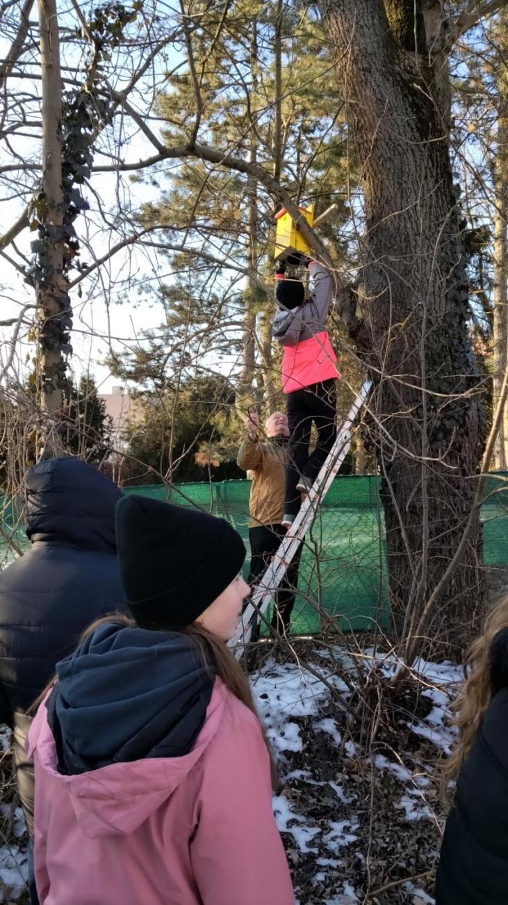 Projekt "Budka" - spolupráce 7.C s klienty DTS Jihlava