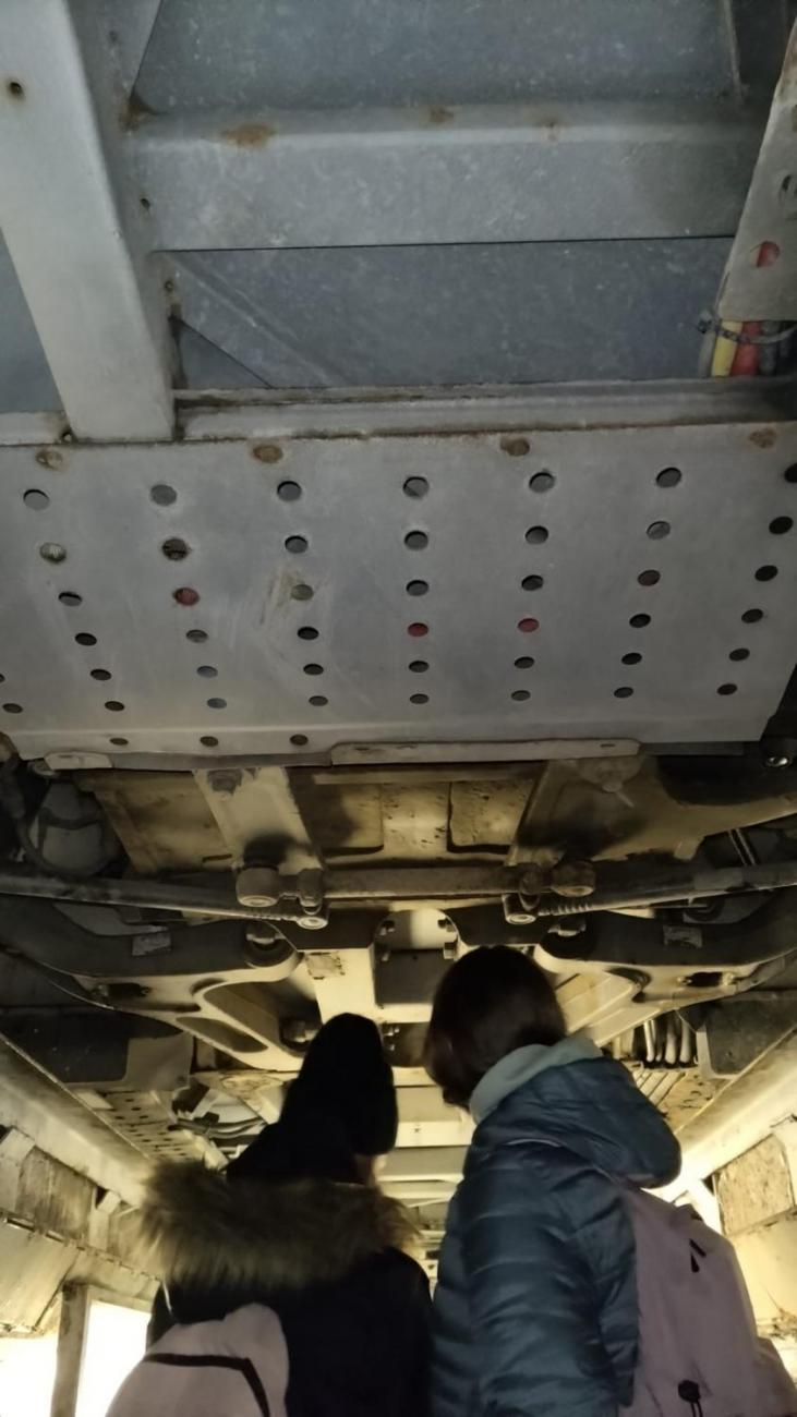 Svět práce- Dopravní podnik města Jihlavy   7.C