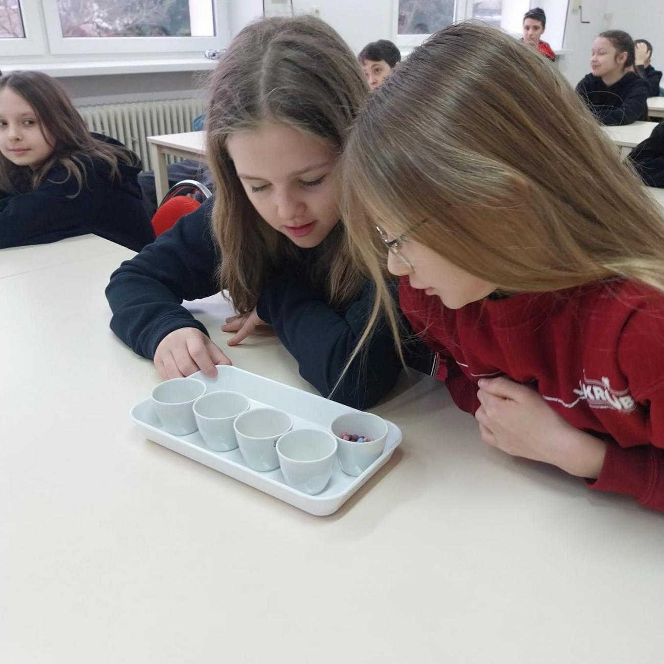 Státní veterinární ústav  –  6. A 