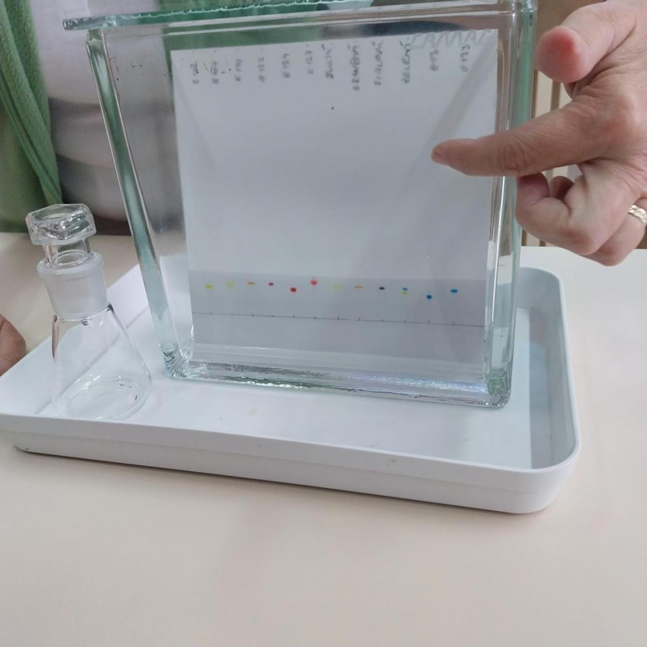 Státní veterinární ústav  –  6. A 