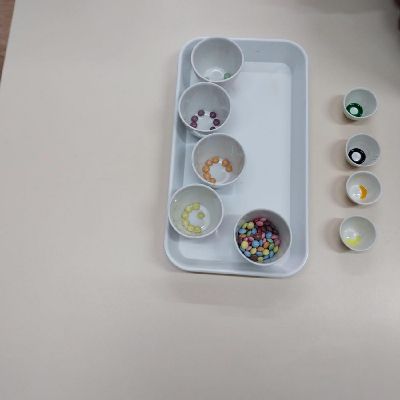 Státní veterinární ústav  –  6. A 