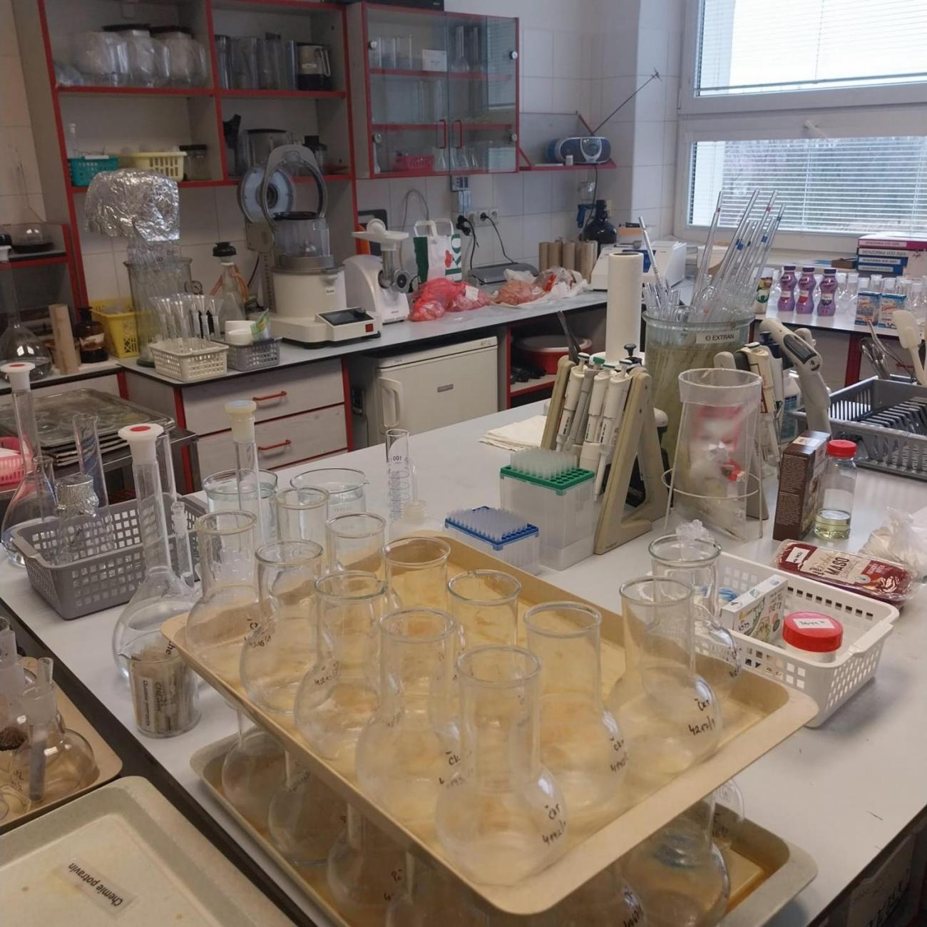 Státní veterinární ústav  –  6. A 