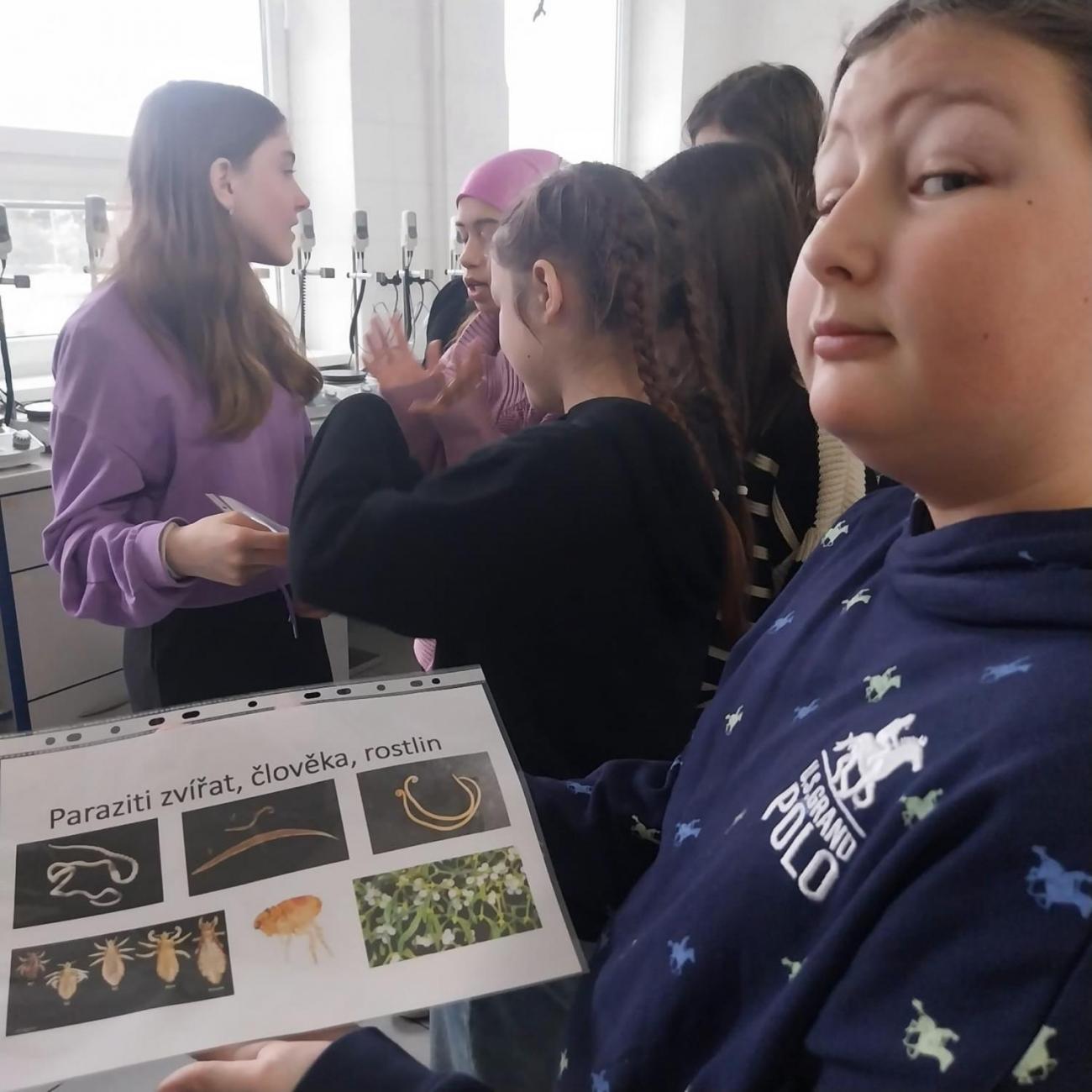 Státní veterinární ústav  –  6. A 