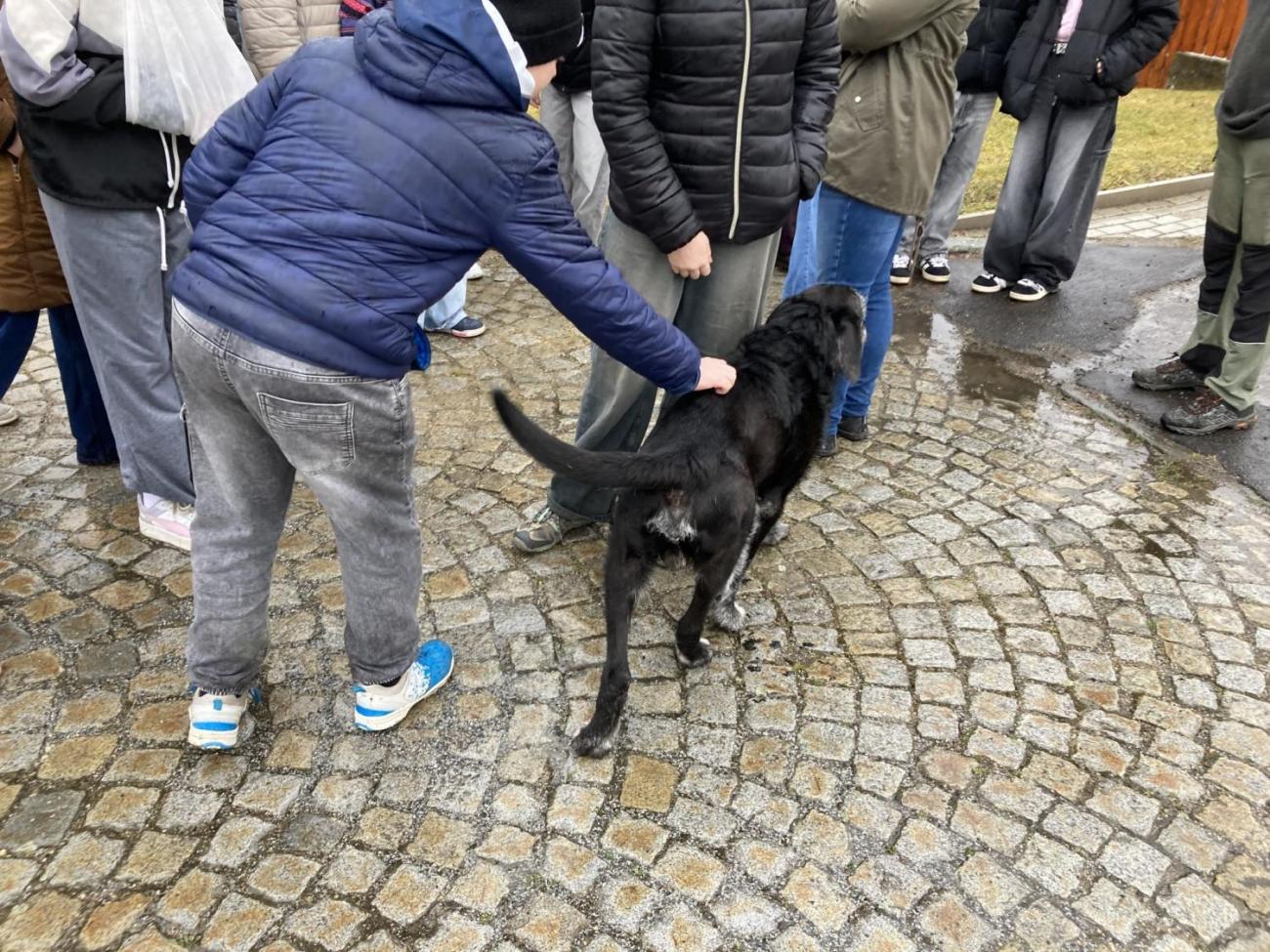 Svět práce - Útulek pro opuštěná a nalezená zvířata  7.A
