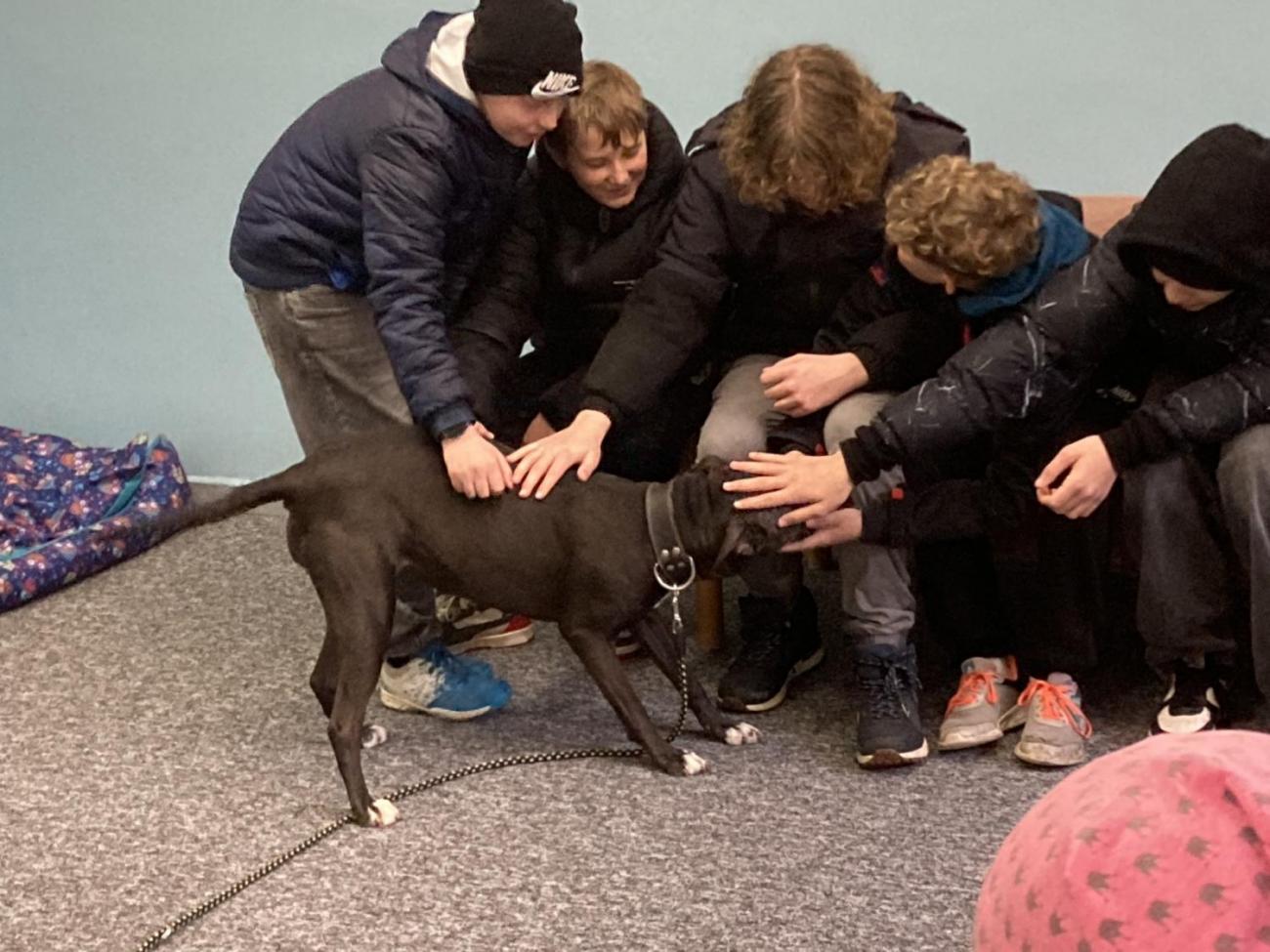 Svět práce - Útulek pro opuštěná a nalezená zvířata  7.A