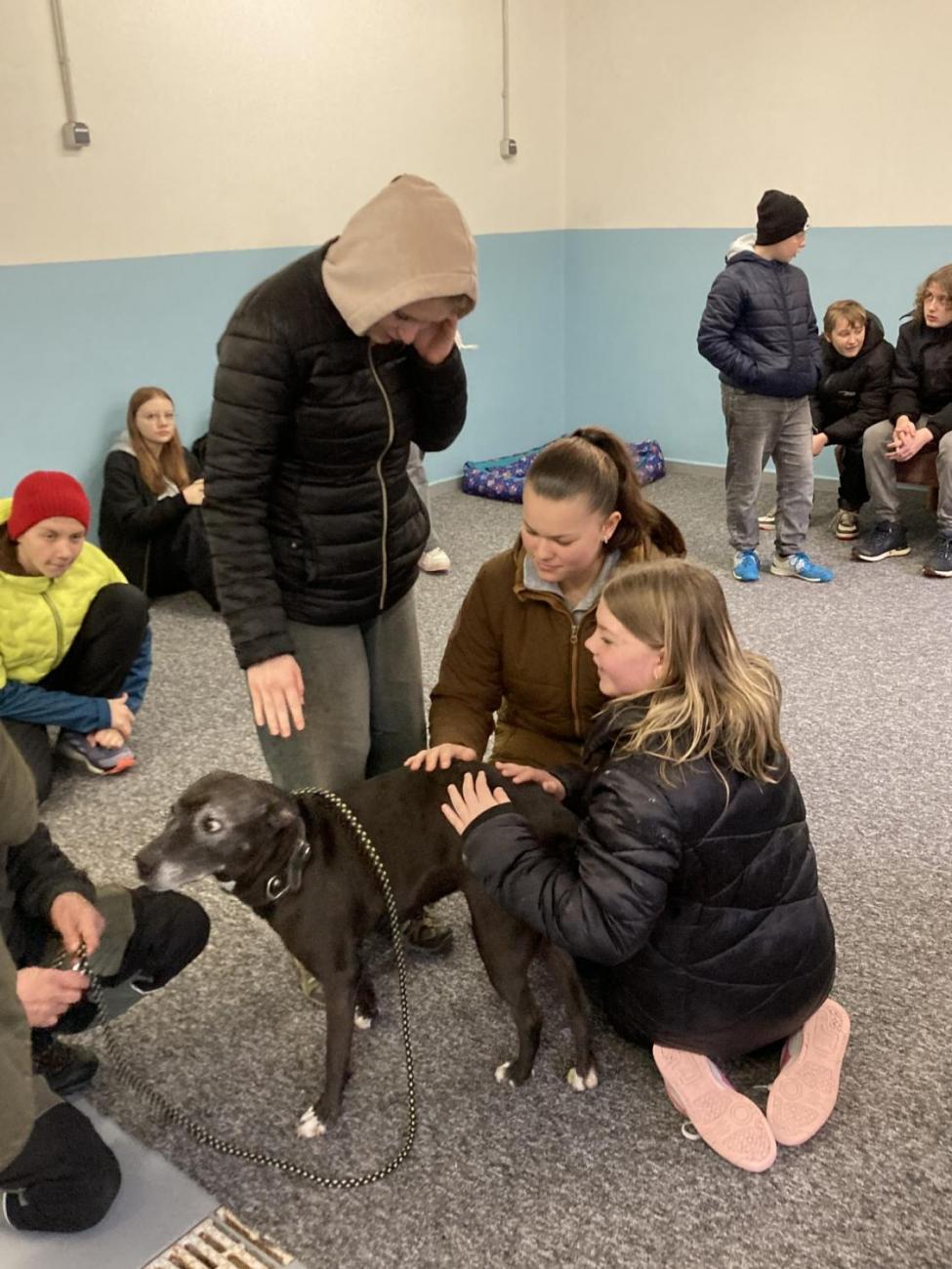 Svět práce - Útulek pro opuštěná a nalezená zvířata  7.A