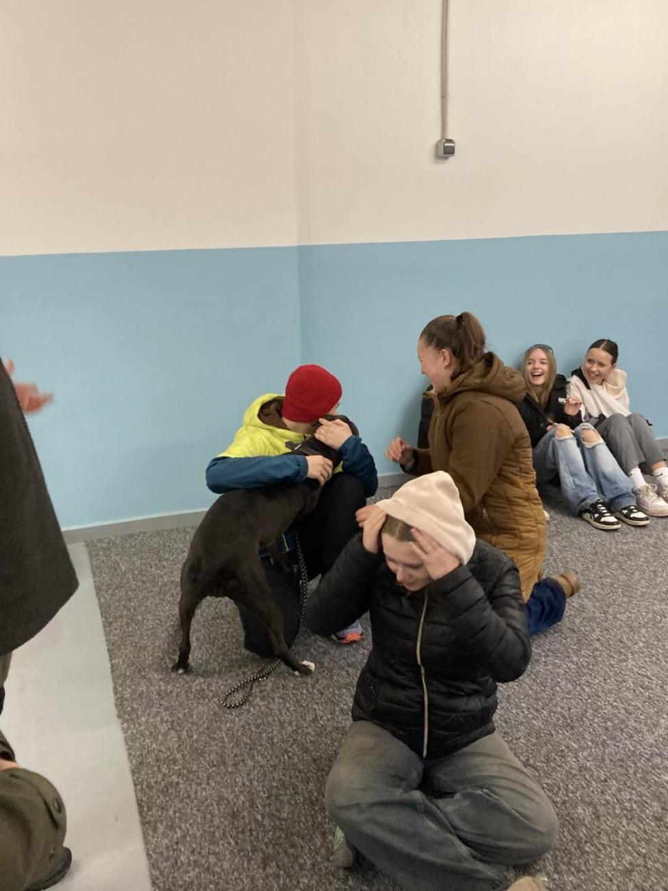 Svět práce - Útulek pro opuštěná a nalezená zvířata  7.A