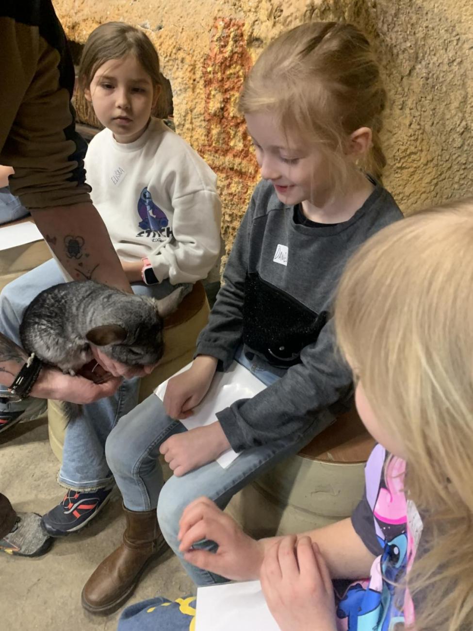 Mazlíčci (Zoo Podpovrch) 2.B