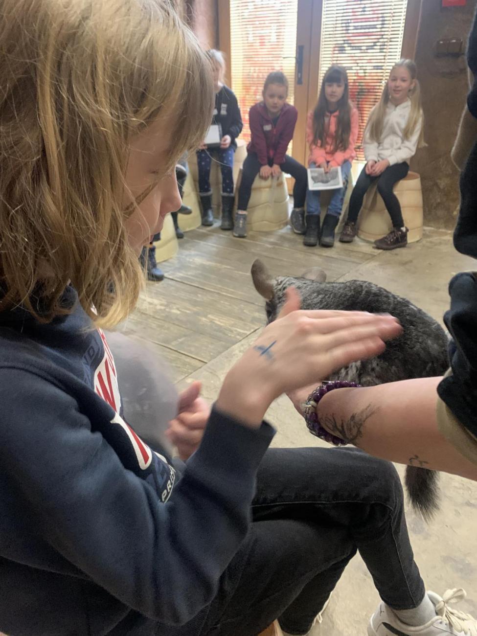 Mazlíčci (Zoo Podpovrch) 2.B