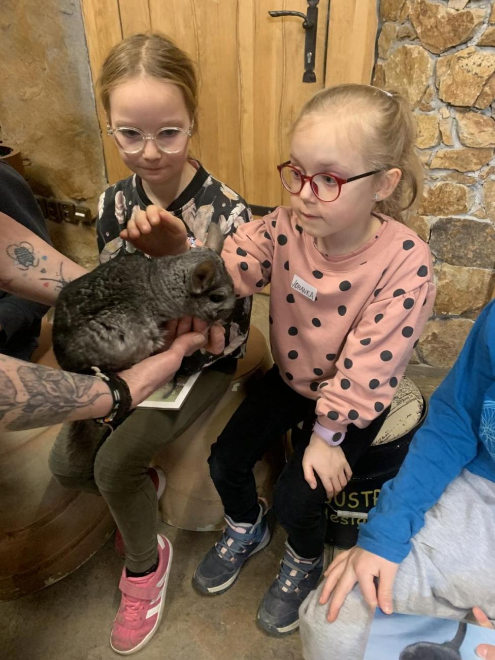 Mazlíčci (Zoo Podpovrch) 2.B