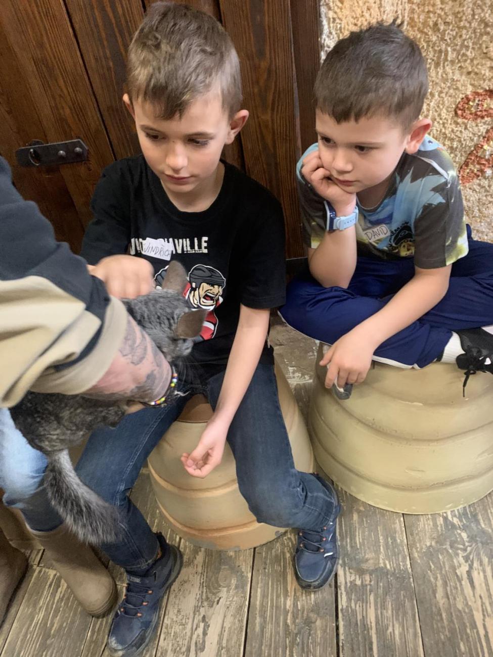 Mazlíčci (Zoo Podpovrch) 2.B