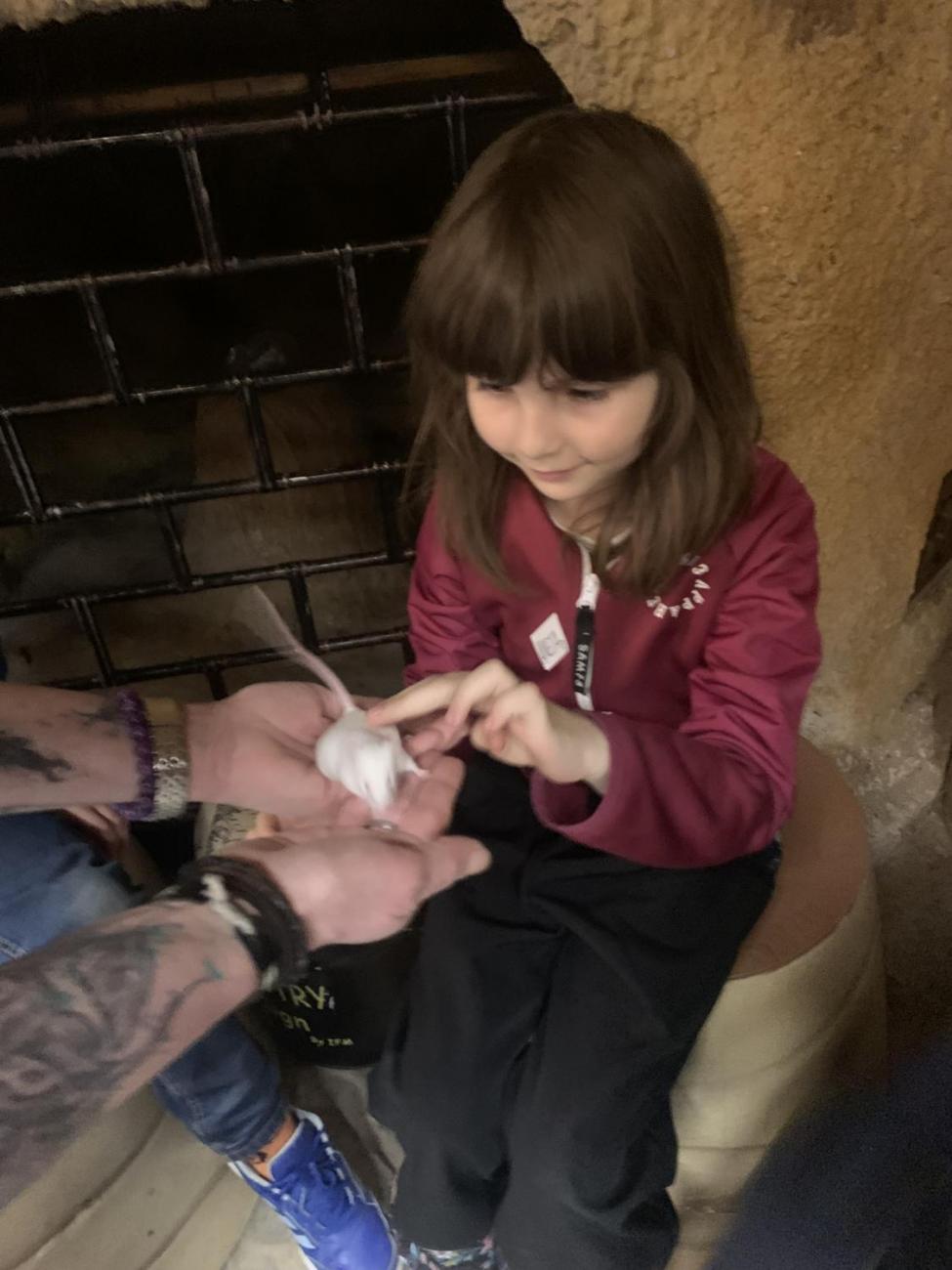 Mazlíčci (Zoo Podpovrch) 2.B