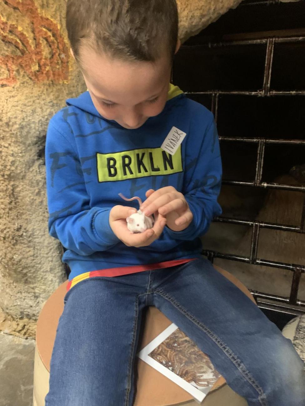 Mazlíčci (Zoo Podpovrch) 2.B