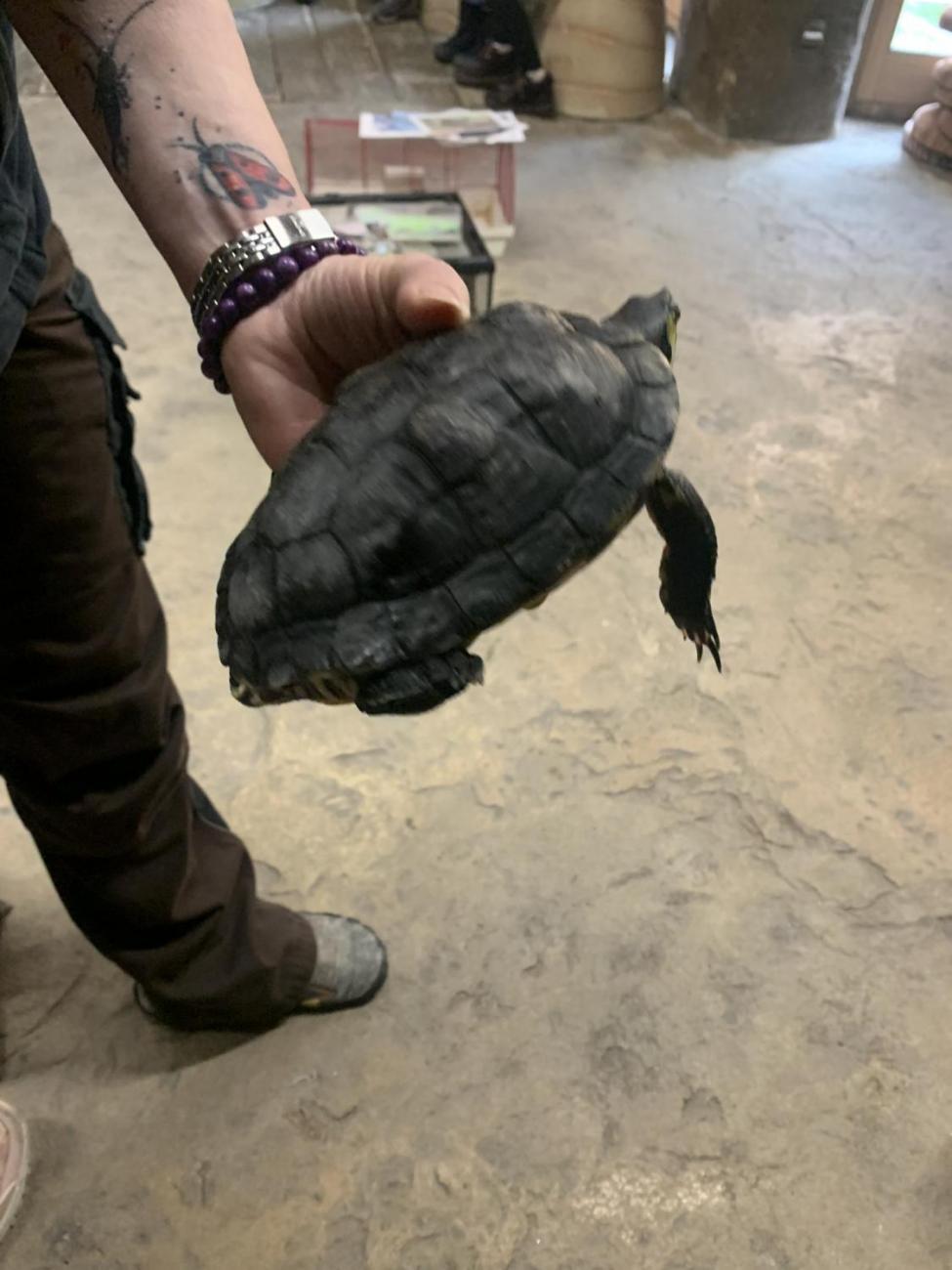 Mazlíčci (Zoo Podpovrch) 2.B