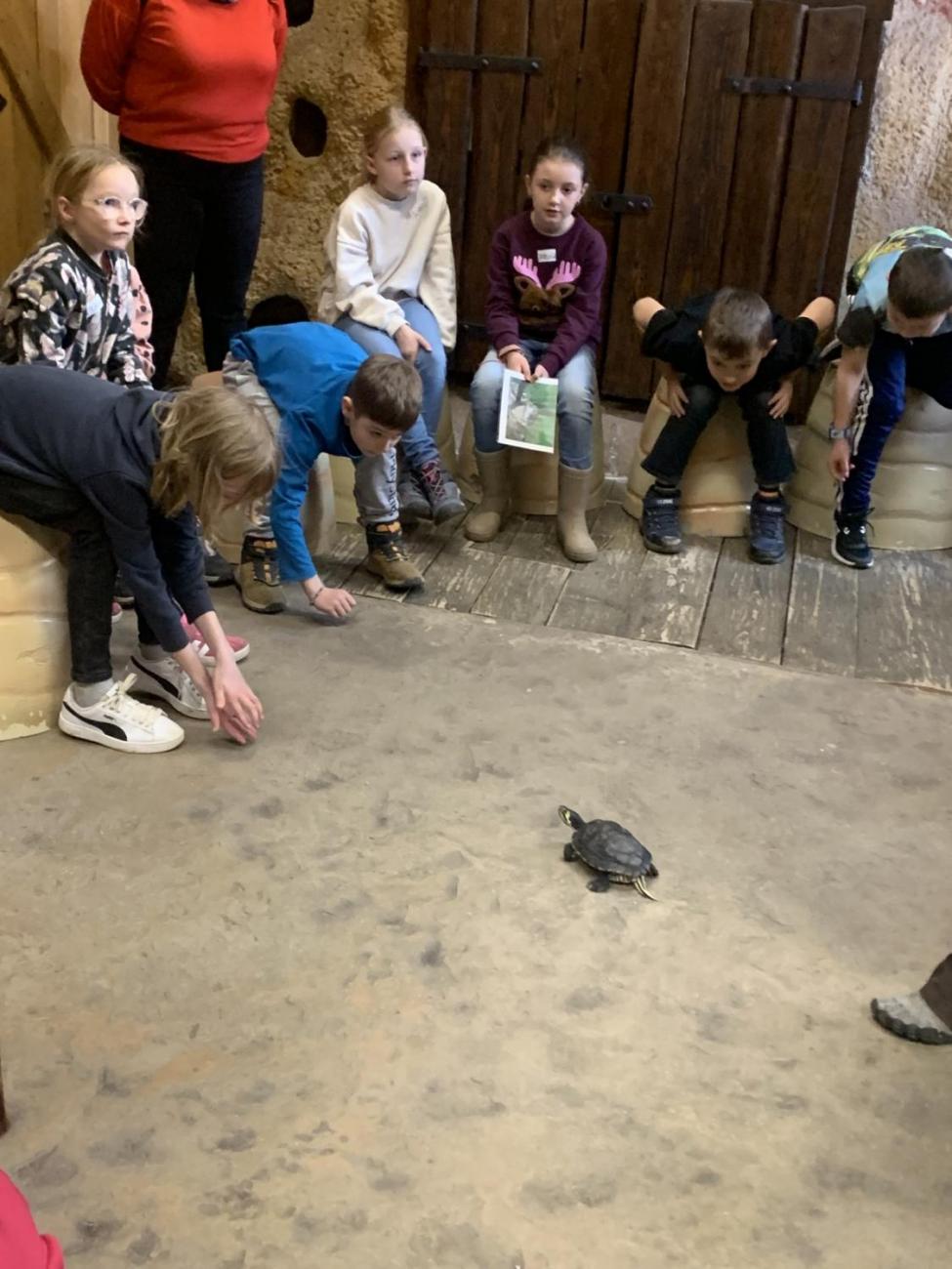 Mazlíčci (Zoo Podpovrch) 2.B