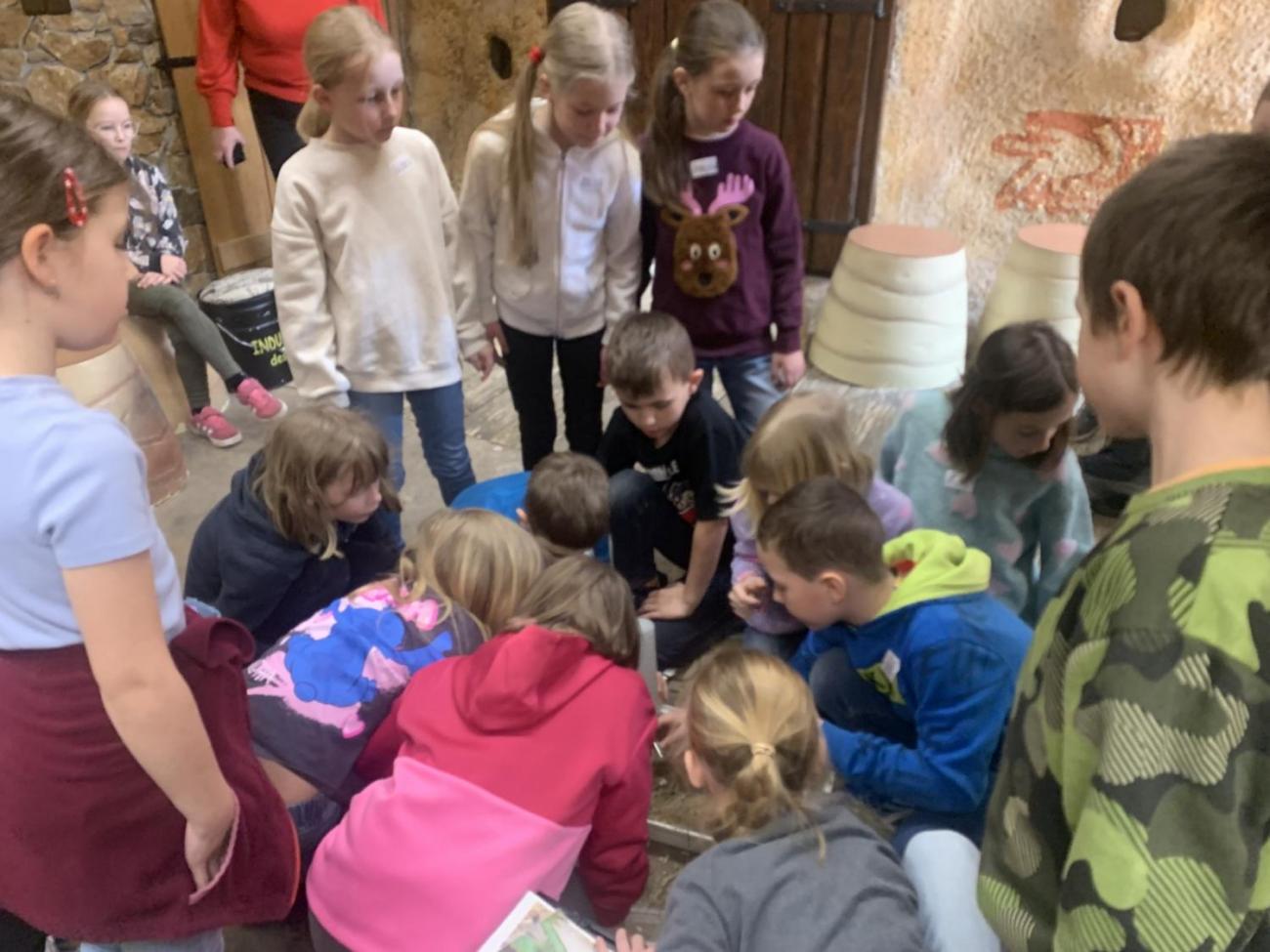 Mazlíčci (Zoo Podpovrch) 2.B